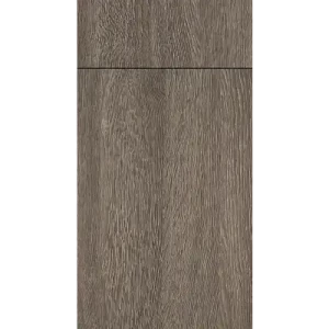 Autumn Elm